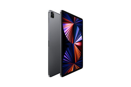 iPad Pro 12,9" M1 512Go Gris sidéral