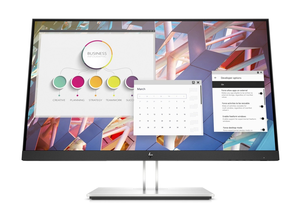 Écran HP E24 G4 23,8" Full HD (9VF99AS)