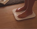 Mi Smart Scale 2
