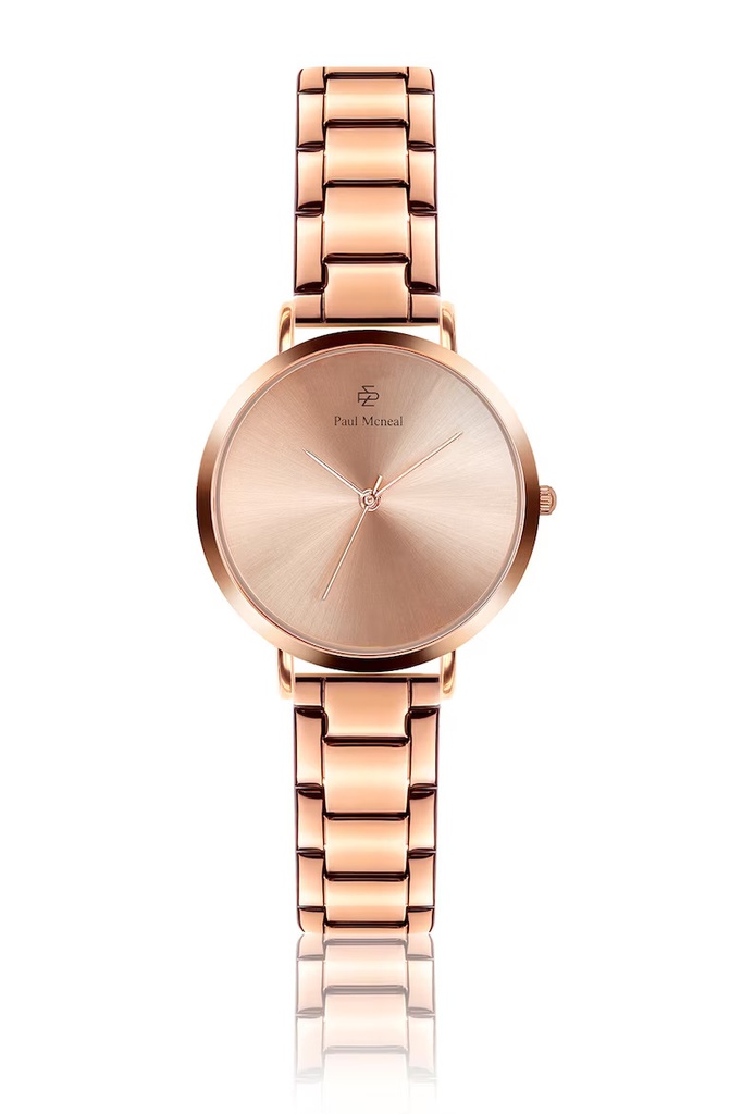 Montre Paul McNeal à quartz en acier (PAT-4414)
