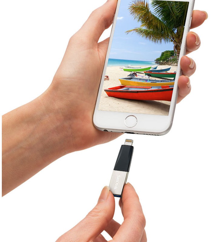 SanDisk iXpand Mini 16Go pour iPhone  (SDIX40N-016G-GN6NN)