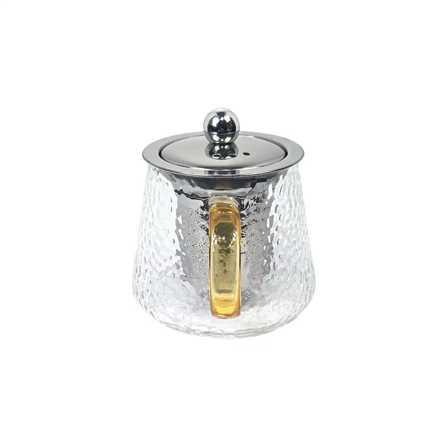 Pandiani Théière en verre - 450ml - Résistante au feu - Filtre en acier inoxydable