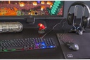 Souris Gamer The G-LAB Kult Radium