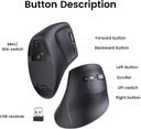 Ugreen souris sans fil multi-mode vertical MU008 (25444)