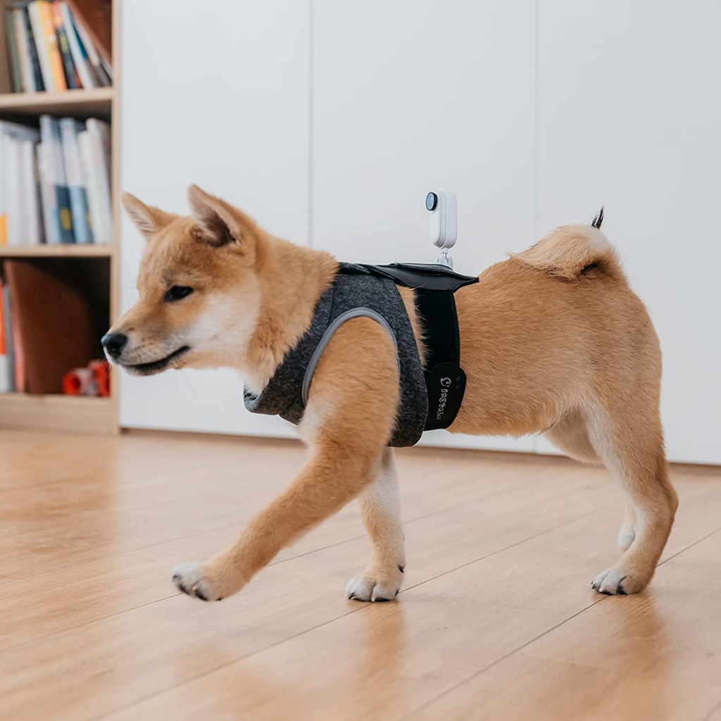 Insta360 GO 2 Support de sangle pour animaux