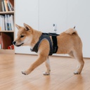 Insta360 GO 2 Support de sangle pour animaux