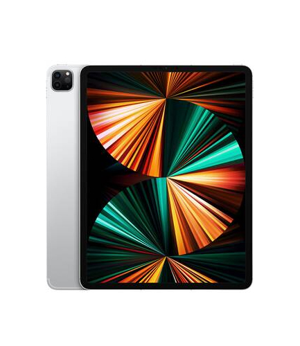 iPad Pro 12,9" M1 256Go