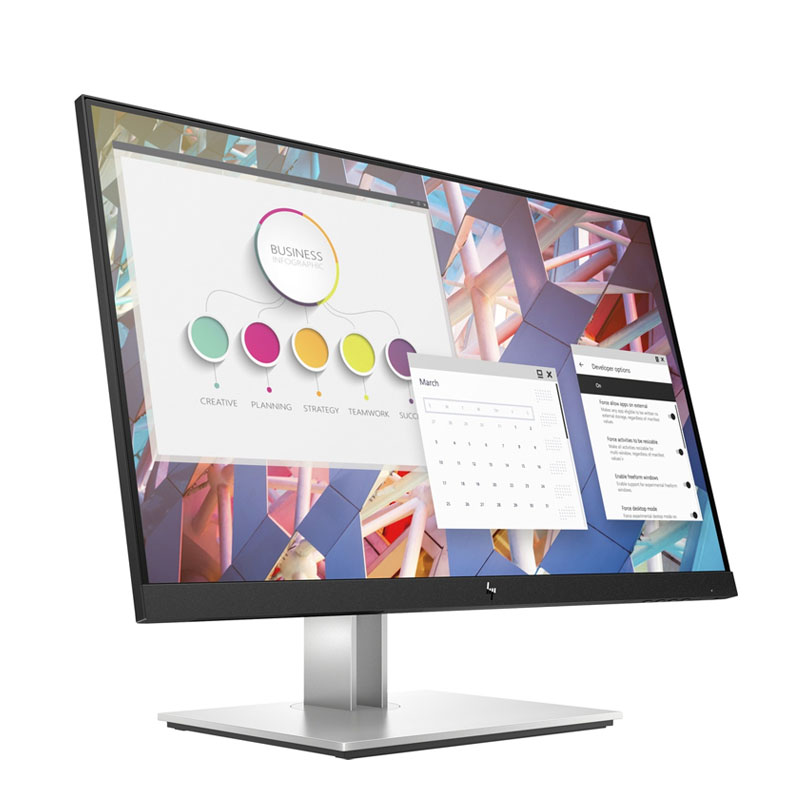 Écran HP E24 G4 23,8" Full HD (9VF99AS)