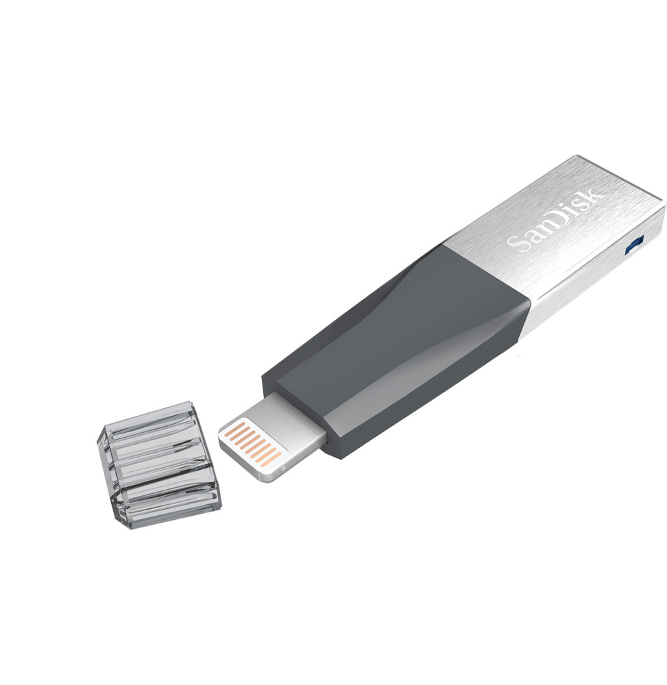 SanDisk clé 64Go iphone et pc iXpand Mini  (SDIX40N-064G-GN6NN)