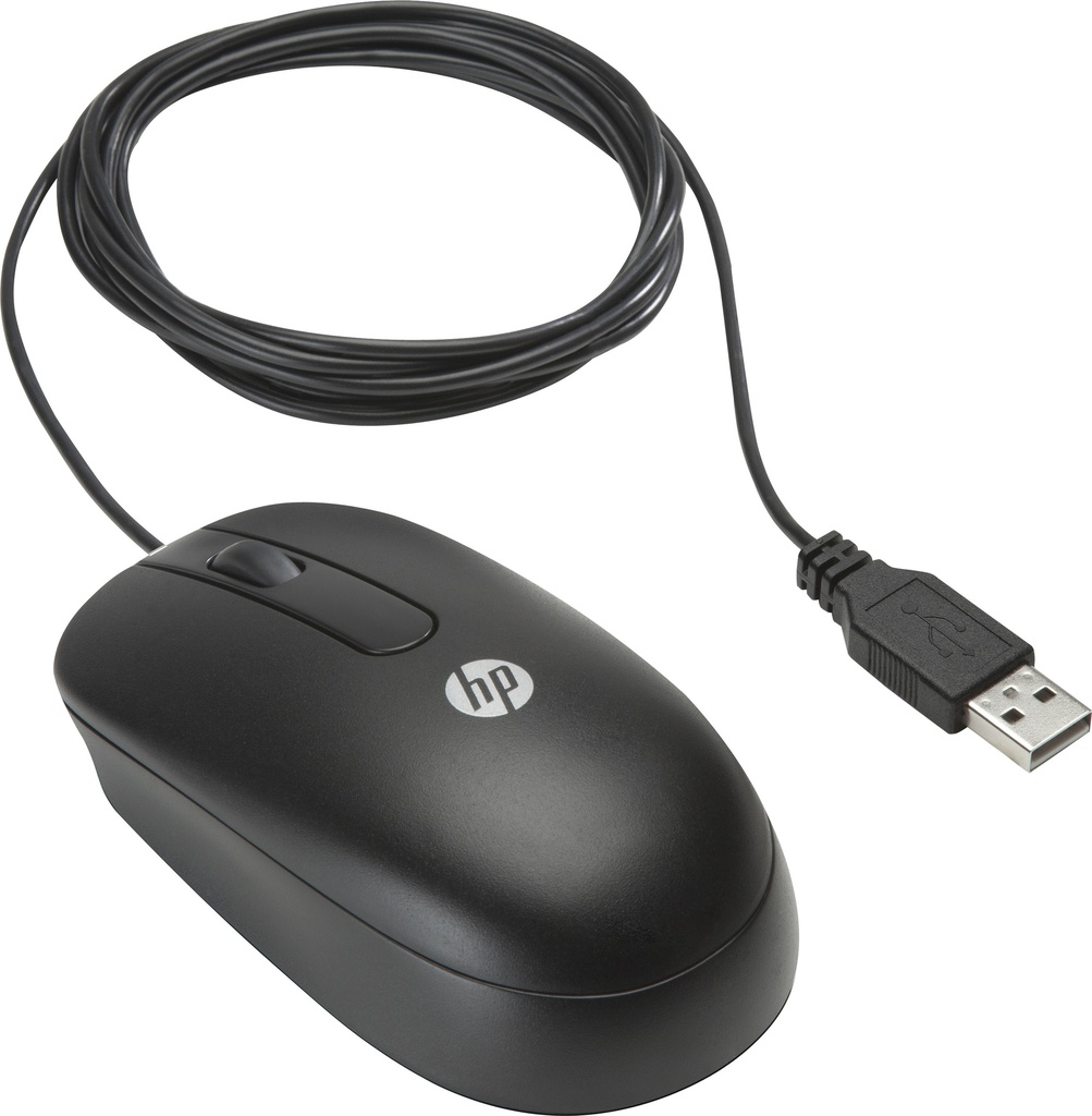 HP Souris USB 2-Button Optique