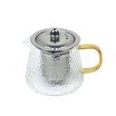 Pandiani Théière en verre - 450ml - Résistante au feu - Filtre en acier inoxydable