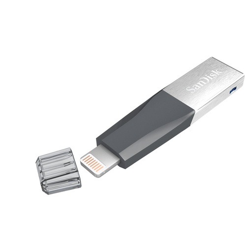 [SDIX40N-032G-GN6NN] SanDisk iXpand Mini 32Go pour iPhone (SDIX40N-032G-GN6NN)